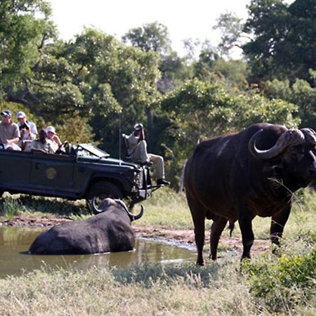 Umlani Bushcamp Villa Timbavati Game Reserve Ngoại thất bức ảnh