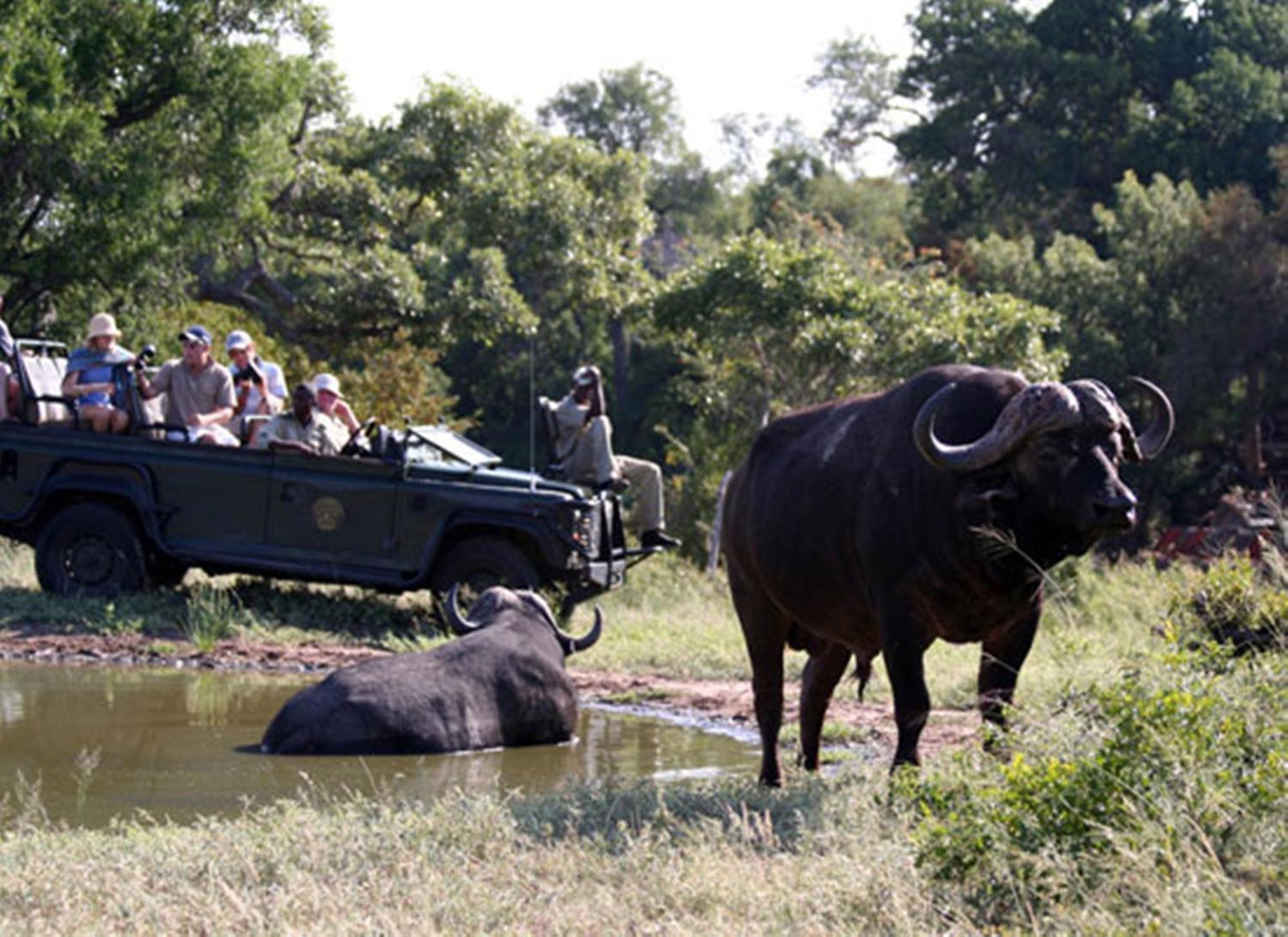 Umlani Bushcamp Villa Timbavati Game Reserve Ngoại thất bức ảnh