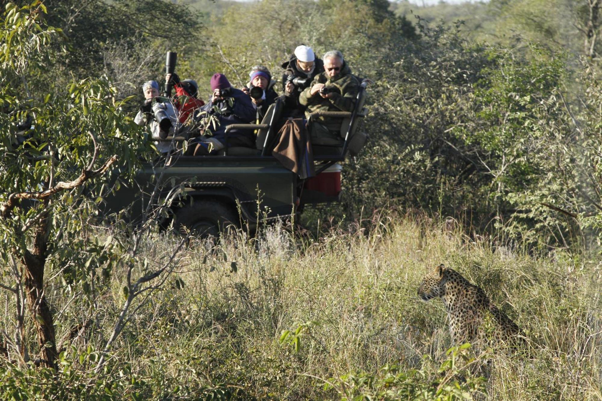 Umlani Bushcamp Villa Timbavati Game Reserve Ngoại thất bức ảnh