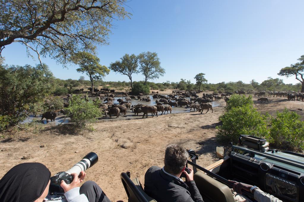 Umlani Bushcamp Villa Timbavati Game Reserve Ngoại thất bức ảnh